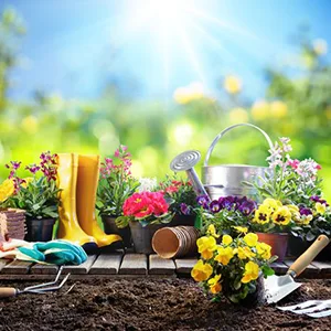 Gardening Landscape